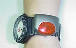 vi_h.jpg (11195 bytes)